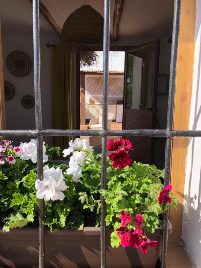 Casa La Alegria 37 Bed & Breakfast Villanueva de Tapia Eksteriør bilde