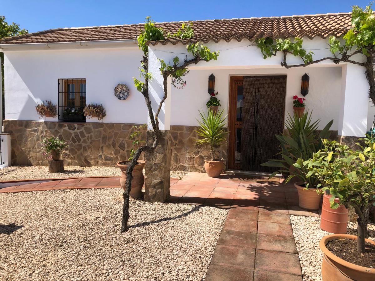 Casa La Alegria 37 Bed & Breakfast Villanueva de Tapia Eksteriør bilde