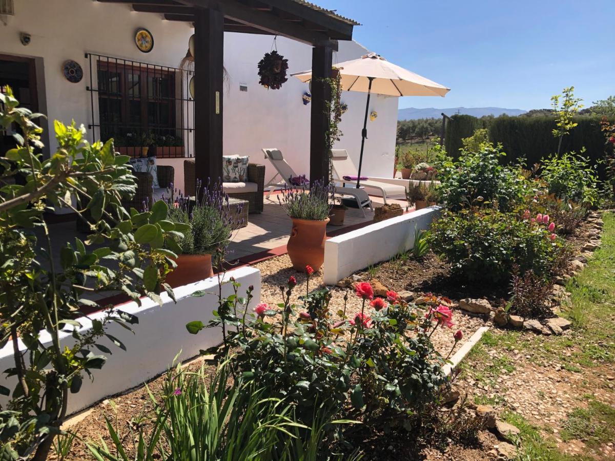 Casa La Alegria 37 Bed & Breakfast Villanueva de Tapia Eksteriør bilde